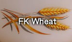 FK Wheat